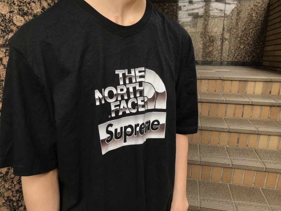 Supreme THE NORTH FACE Metallic Logo Tee