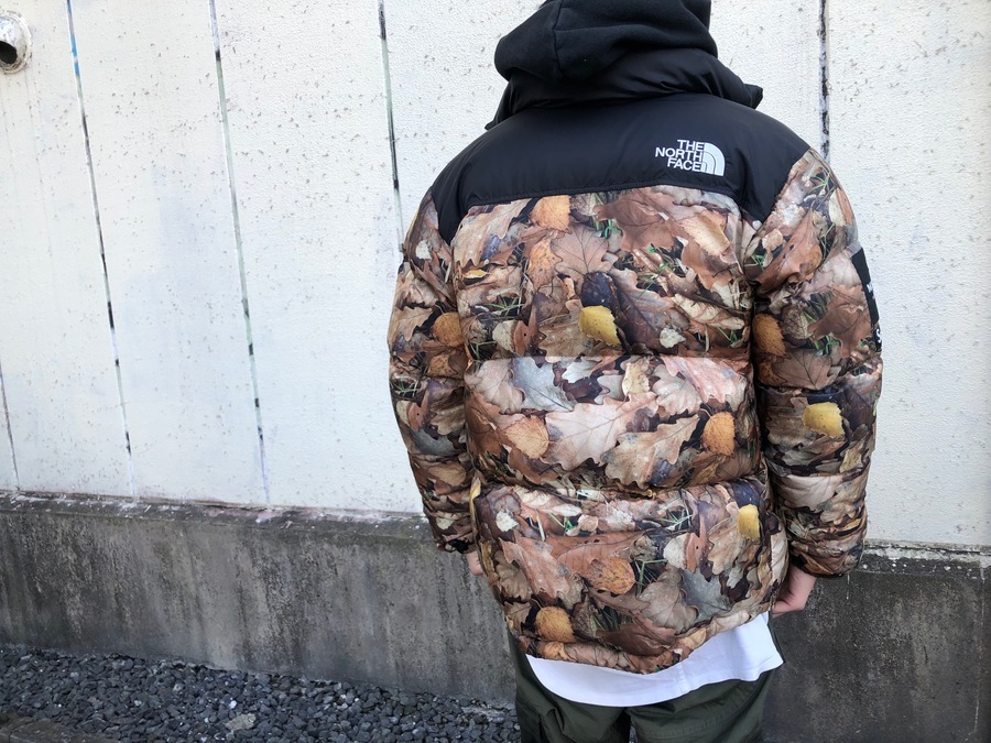 Supreme The North Face Nuptse 枯葉