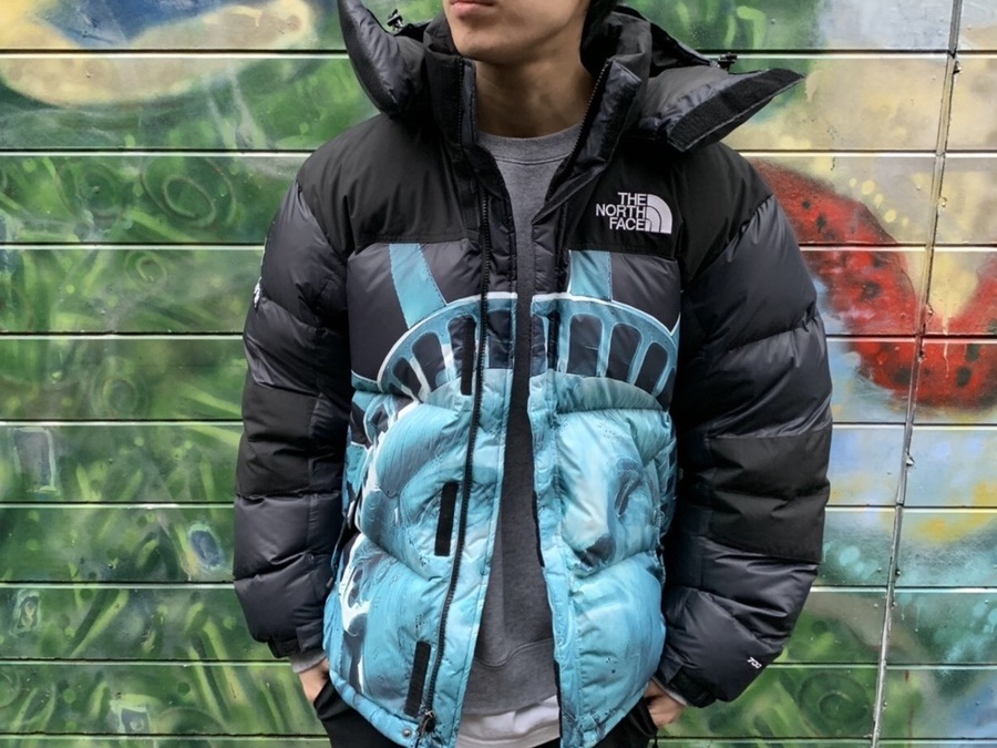 supreme×the north face 自由の女神フーディ