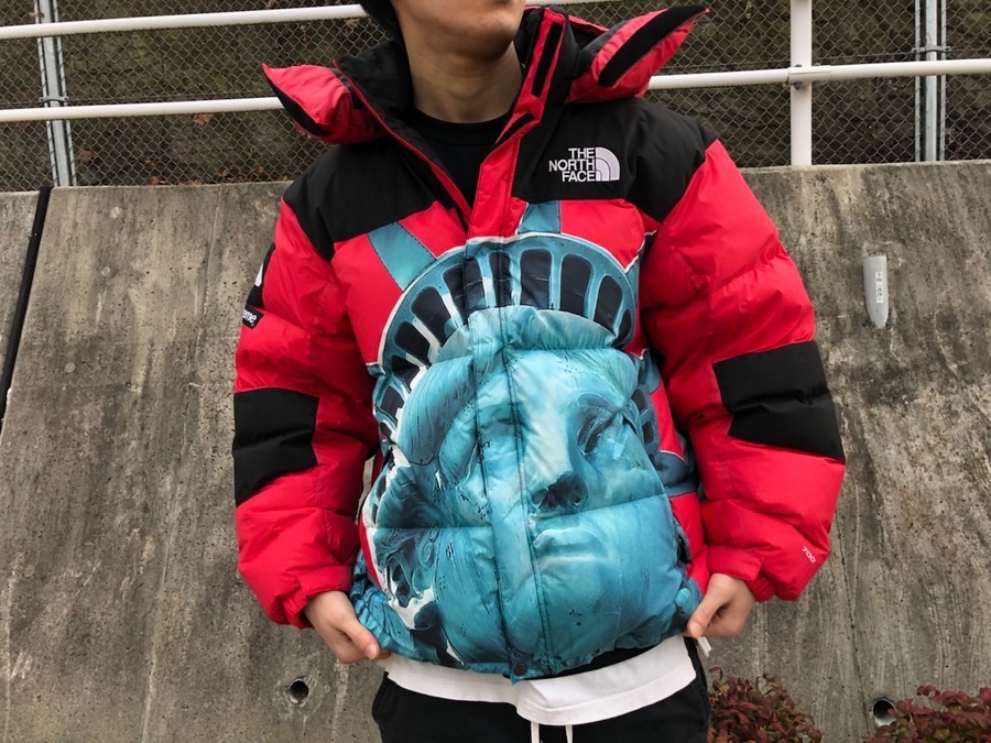 Supreme the north face 自由の女神　Mサイズ