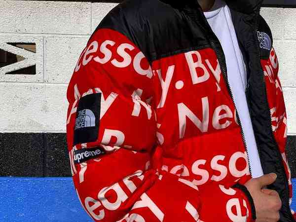 supreme the north face by any means ヌプシ