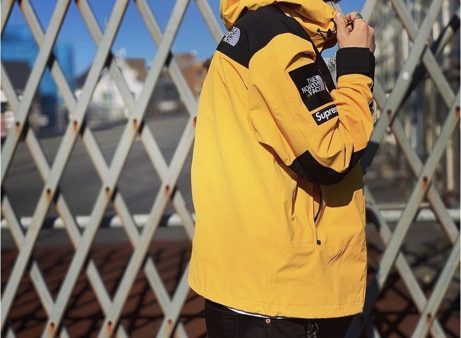 シュプリーム ×ノースフェイス THE NORTH FACE  19SS  The North Arc Logo Mountain Parka アーチロゴマウンテンパーカーブルゾン メンズ S