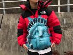 Supreme / シュプリーム × THE NORTH FACE / ザノースフェイスの最強