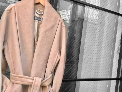 レディースのトップス