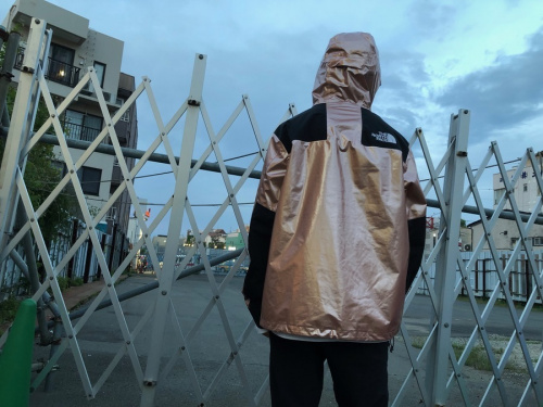 シュプリーム × ノースフェイスのMETARIC MOUNTAIN JACKET