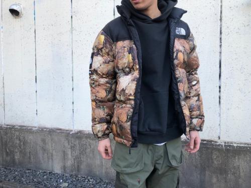 supreme the north face ダウン