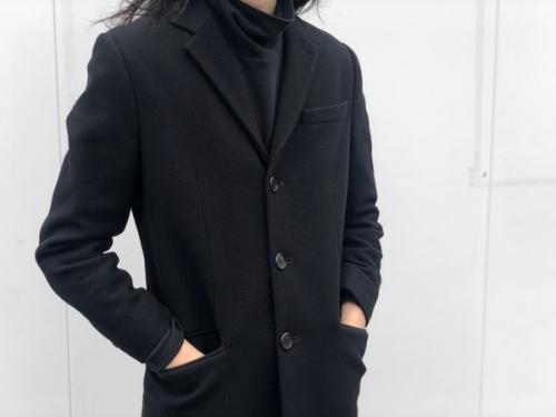 ロットワイラーチェスターコートのロットワイラー