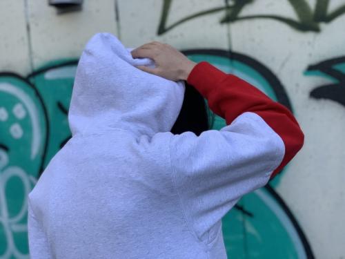 シュプリームのhooted sweated shirts