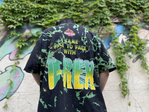 ヴィンテージアイテムのThe Jurassic Park