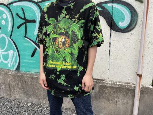 The Jurassic ParkのTERMINATOR 2