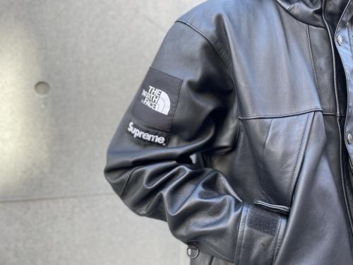 シュプリーム × ザ・ノース・フェイスのLeather Mountain Parka