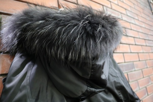 20年01月20日：画像６