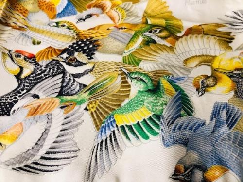 シルクスカーフ　ポロシャツのレディースアイテム