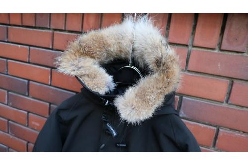 CHILLIWACK BOMBER FF（チリワックボンバーフュージョンフィット）の方南町　トレファク