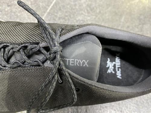 アークテリクスのスニーカー