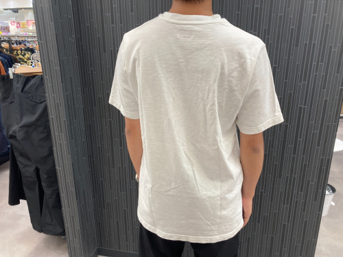 トレファクスタイルホームズ川崎大師店ブログ画像3