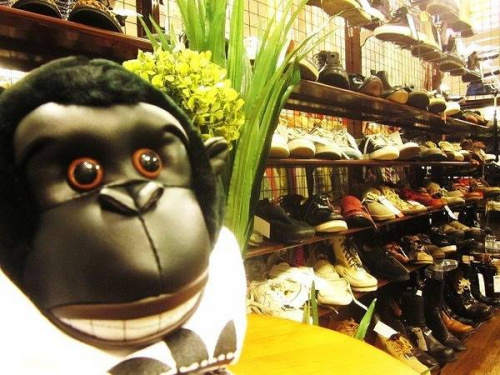 トレファクスタイルホームズ川崎大師店ブログ画像１