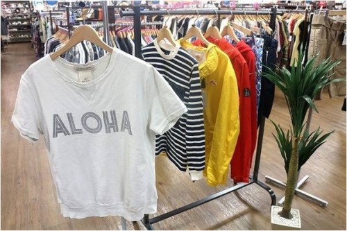 夏物の買取