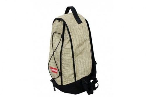 バックパックの川崎