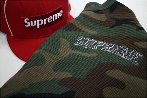 SUPREMEの17AW
