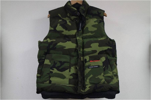 キャリアファッションのカナダグース