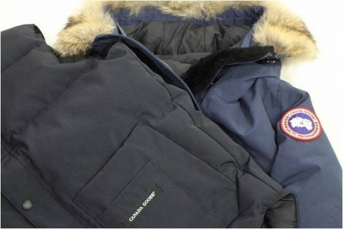 キャリアファッションの買取入荷