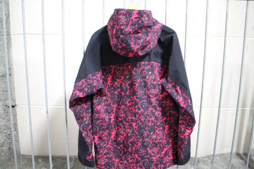 ザノースフェイスの94 RAGE GTX Mountain Light Jacket