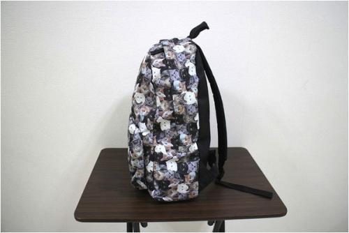 バンズ×エーエスピーシーエーのREALM CATS BACKPACK