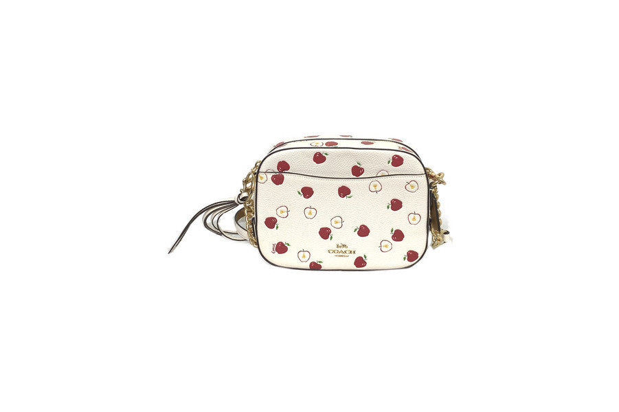 COACH アップルプリント カメラバッグ - library.iainponorogo.ac.id