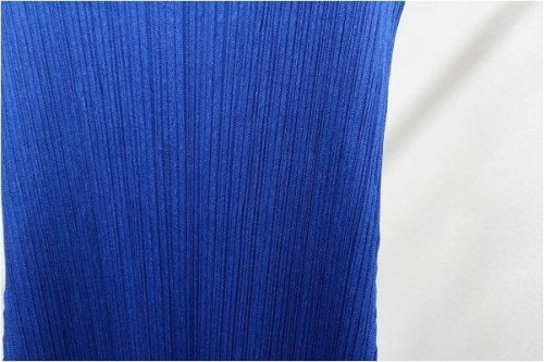 プリーツプリーズ