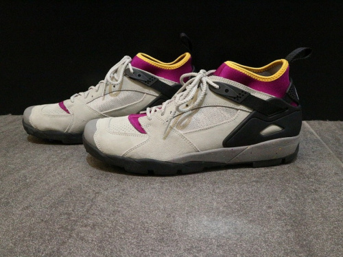 ナイキエーシージーのスニーカー