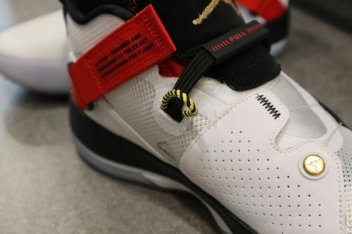 AIR JORDAN 33 PFのスニーカー