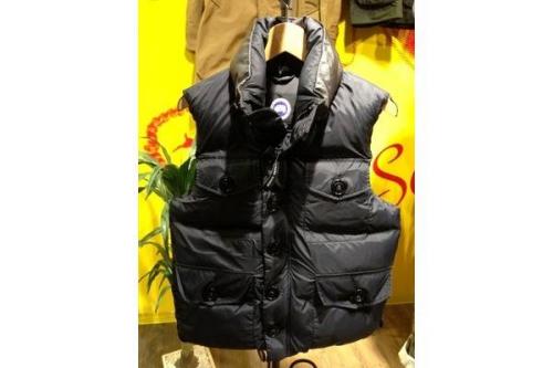 トップスのベスト