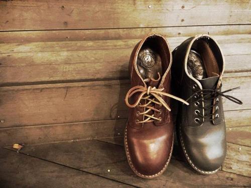 ハソーンの新入荷