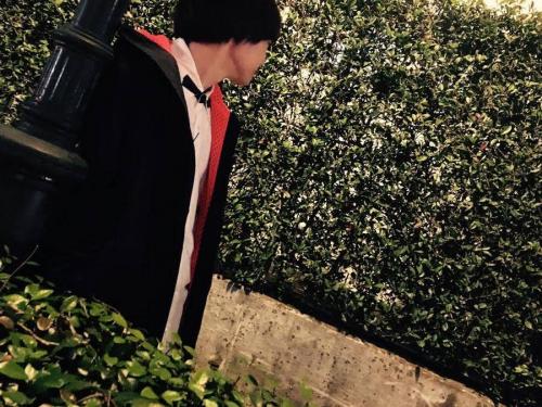 三鷹のグリフィン