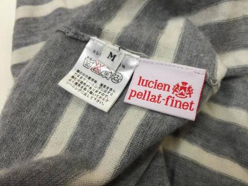 カシミヤのスカル