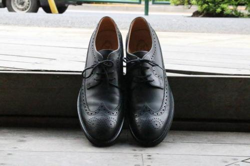 ALDENのTOMORROW LAND