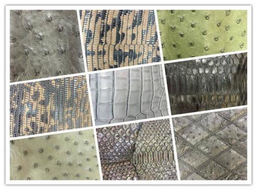 天然素材のオーストリッチ