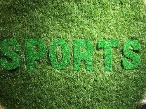 三鷹のスポーツ