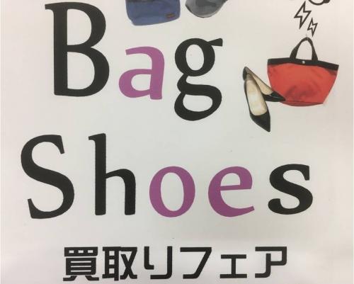 バッグのシューズ