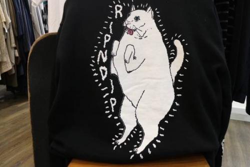 17年04月11日：画像８