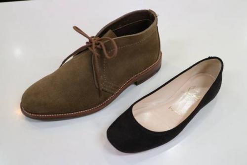 バッグのシューズ