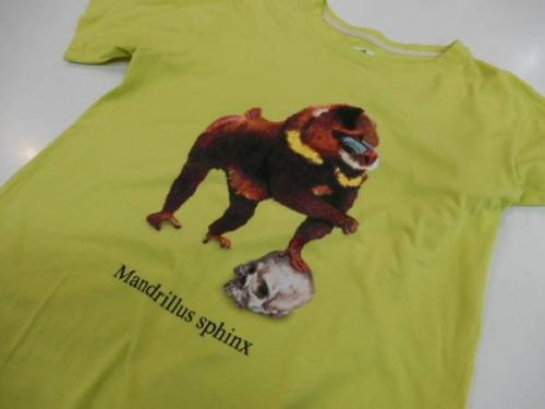 18年03月13日：画像７