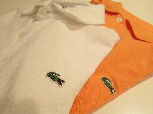 新入荷のラルフローレン