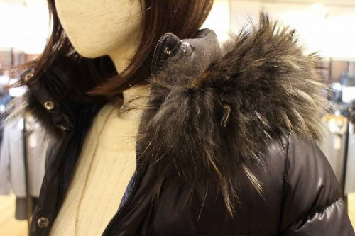 デュベティカのダウン