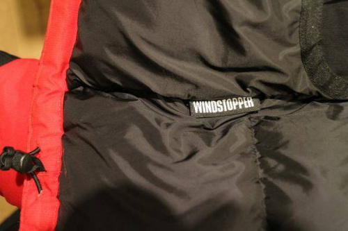 光電子ダウンのトレジャーラリー