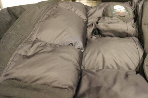 カナダグースのジャスパー