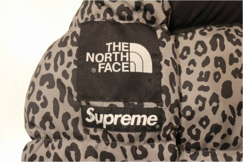シュプリームのノースフェイス