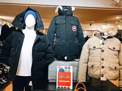 19年11月07日：画像８