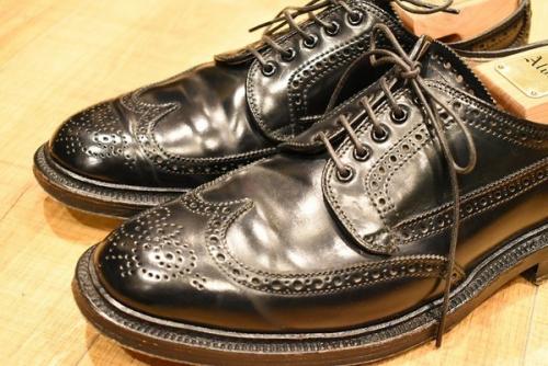 31851のbeauty&youth / ビューティー＆ユース